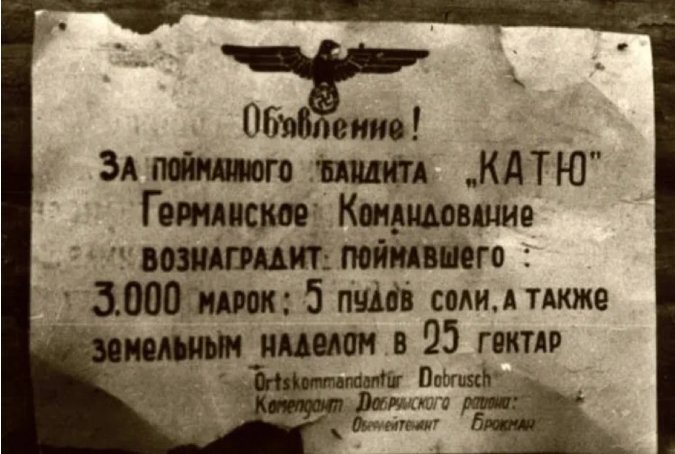      Объявление о поимке Кати