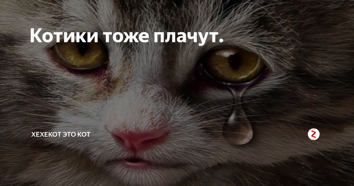 Фото взято из интернета