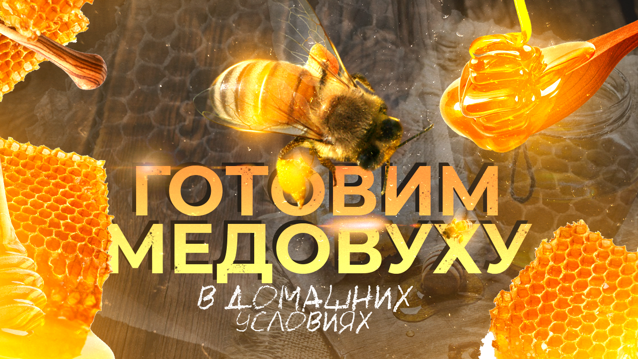 Медок или медовуха в домашних условиях мой первый опыт 🍯