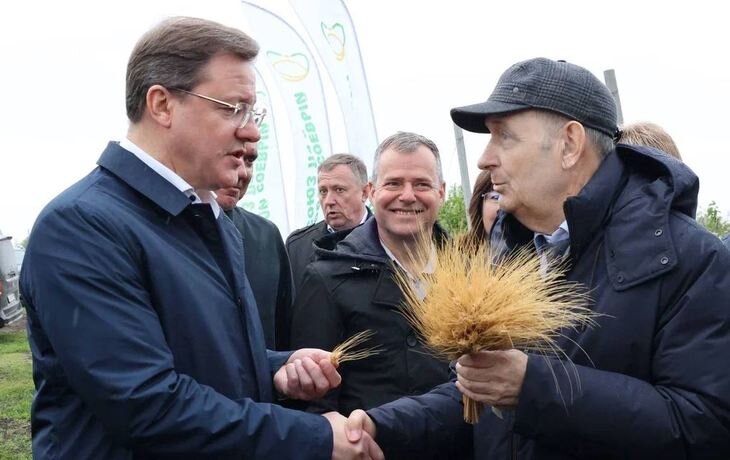    Самарские аграрии приступили к разведению своего нового сорта твердой озимой пшеницы