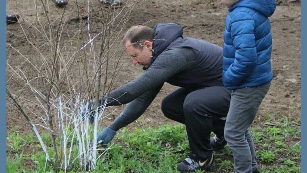     В центре Ростова ко Дню города построят новый парк с необычными растениями, рассказали в администрации Ленинского района.