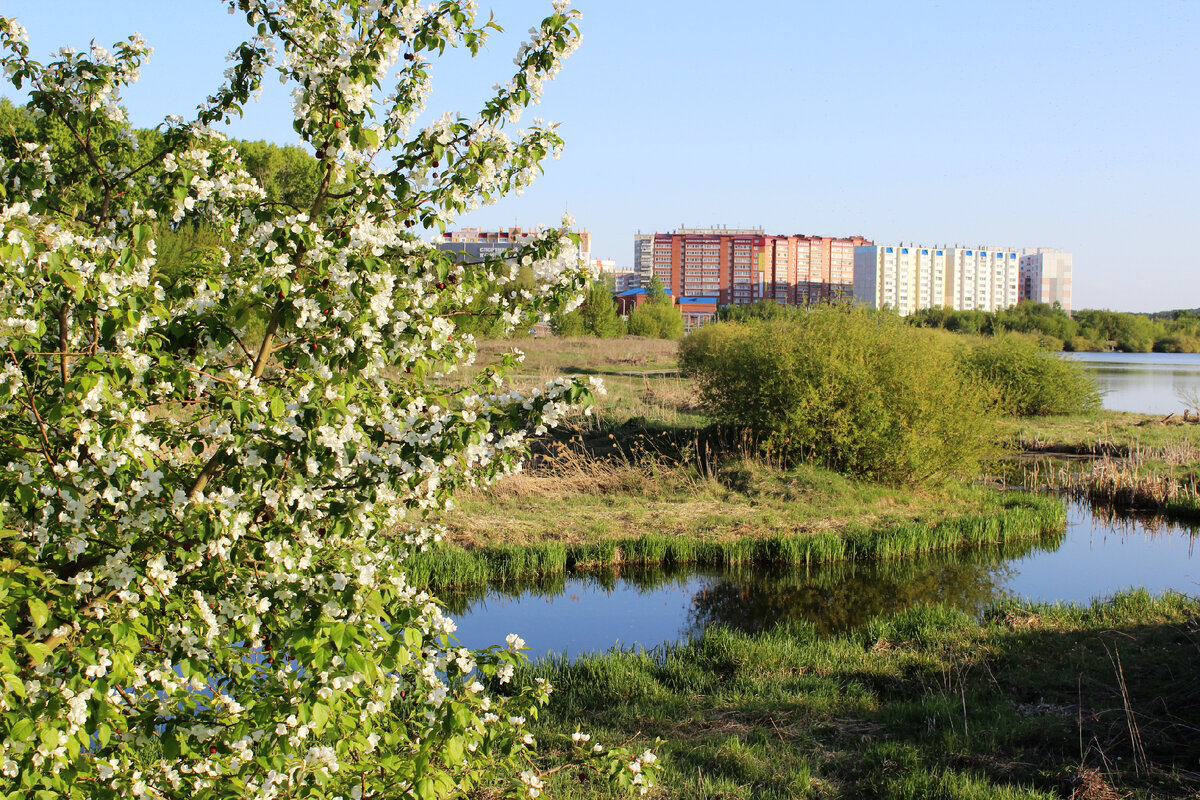 Фото автора. Река Миасс в черте города.