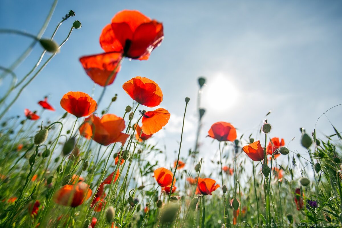 Гороскоп на неделю с 29 мая по 4 июня 2023 года для знаков зодиака с самыми точными астрологическими прогнозами на любовь, деньги, карьеру.