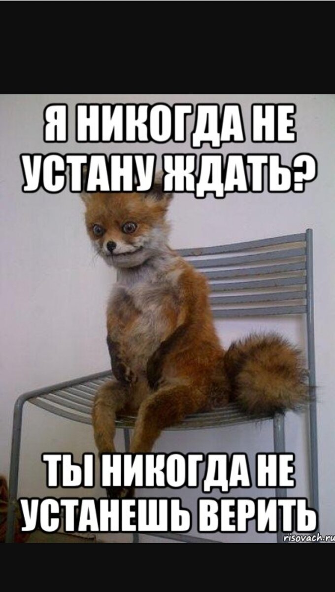 Ну что ждать то. Упоротые мемы. Я Димон. Проводы Мем. Хэппи бездей ту ми Упоротая лиса.