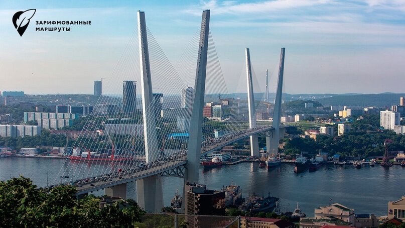 Владивосток. Мост через бухту Золотой Рог. Фото: Вадим Попов/Комсомольская правда