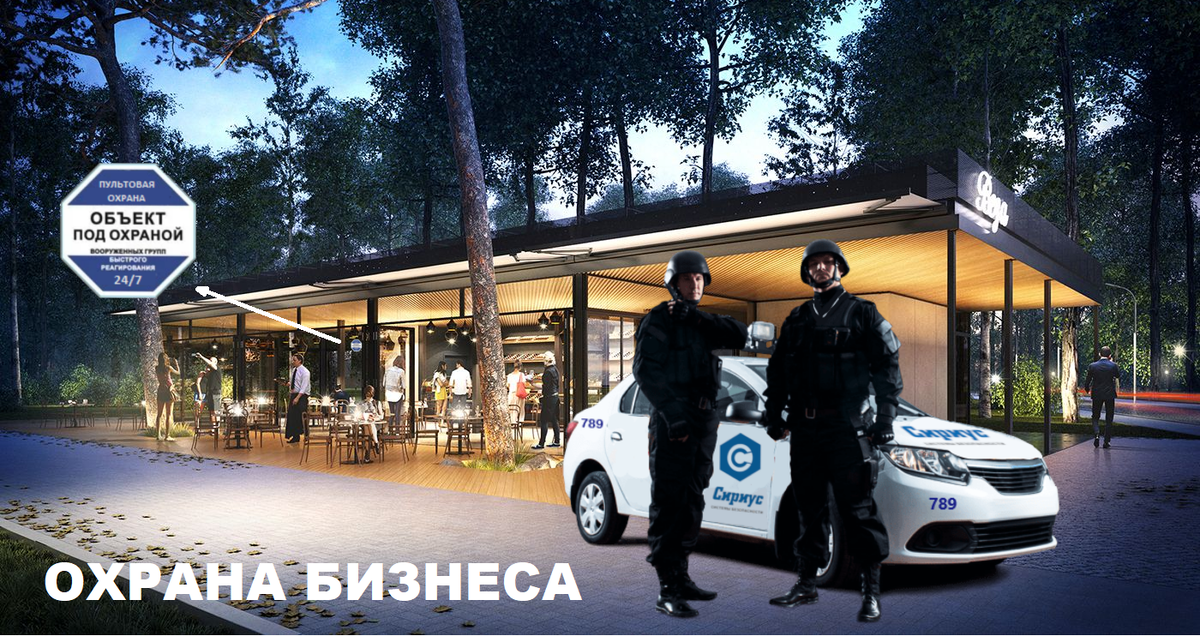 Сириус системы безопасности
