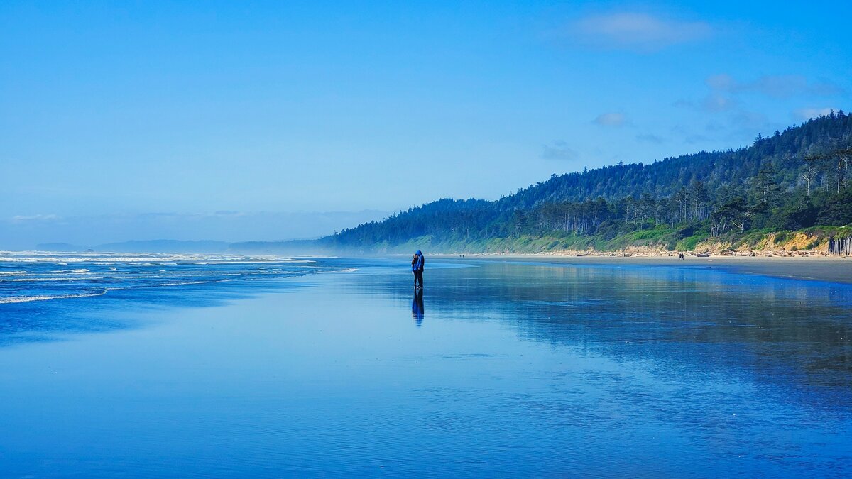 Картинка с бесплатного фотостока https://unsplash.com, автор Souradip Nath