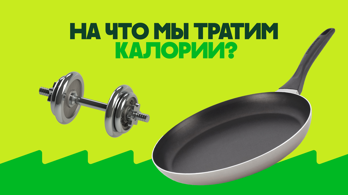 Куда уходит энергия от килокалорий, если я даже в зал не хожу? | Декодер  еды | Дзен