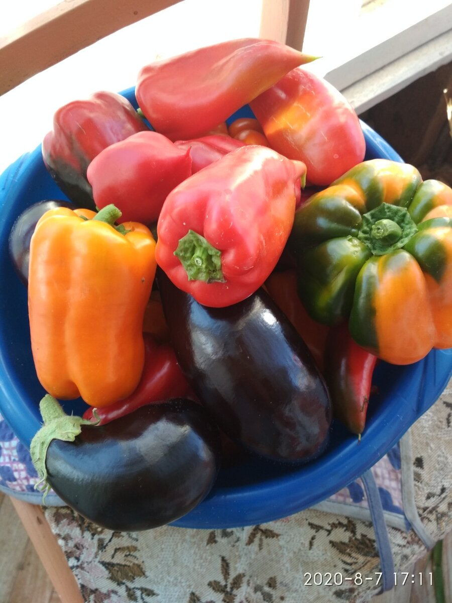 Кроме цвета и формы....