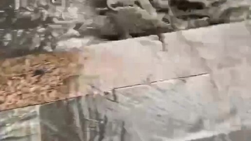 Телеканал "78" | В Петербурге солнечно, а в Москве сильнейший ливень ...