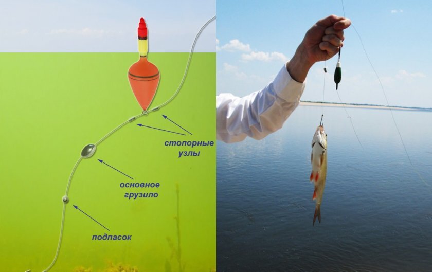 Фото с сайта: https://activefisher.net