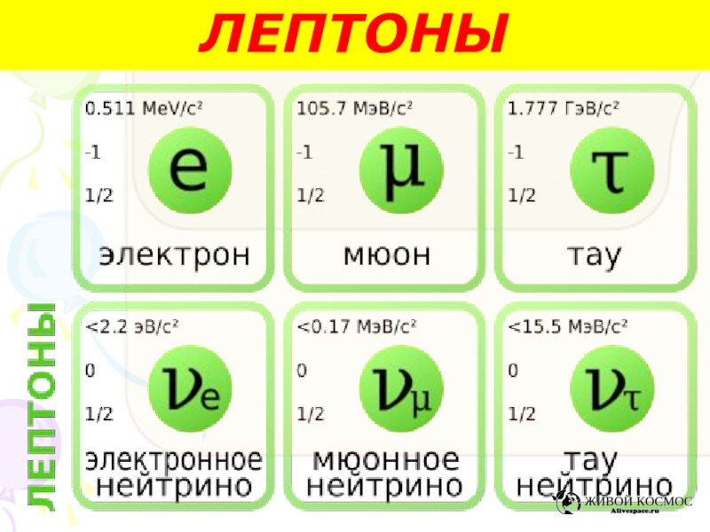      Фермионы, которые являются лептонами. Из открытых источников.