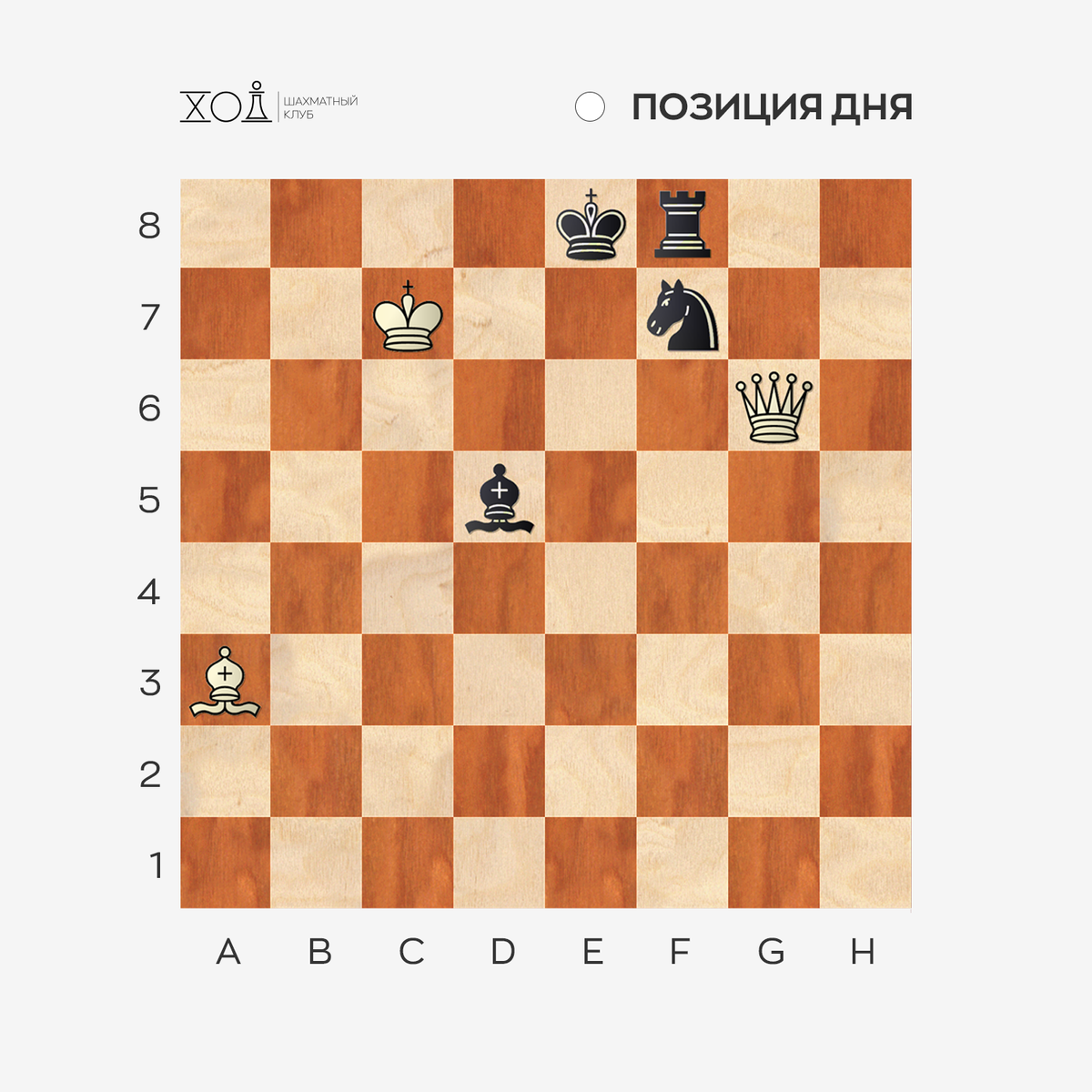 Задача по шахматам