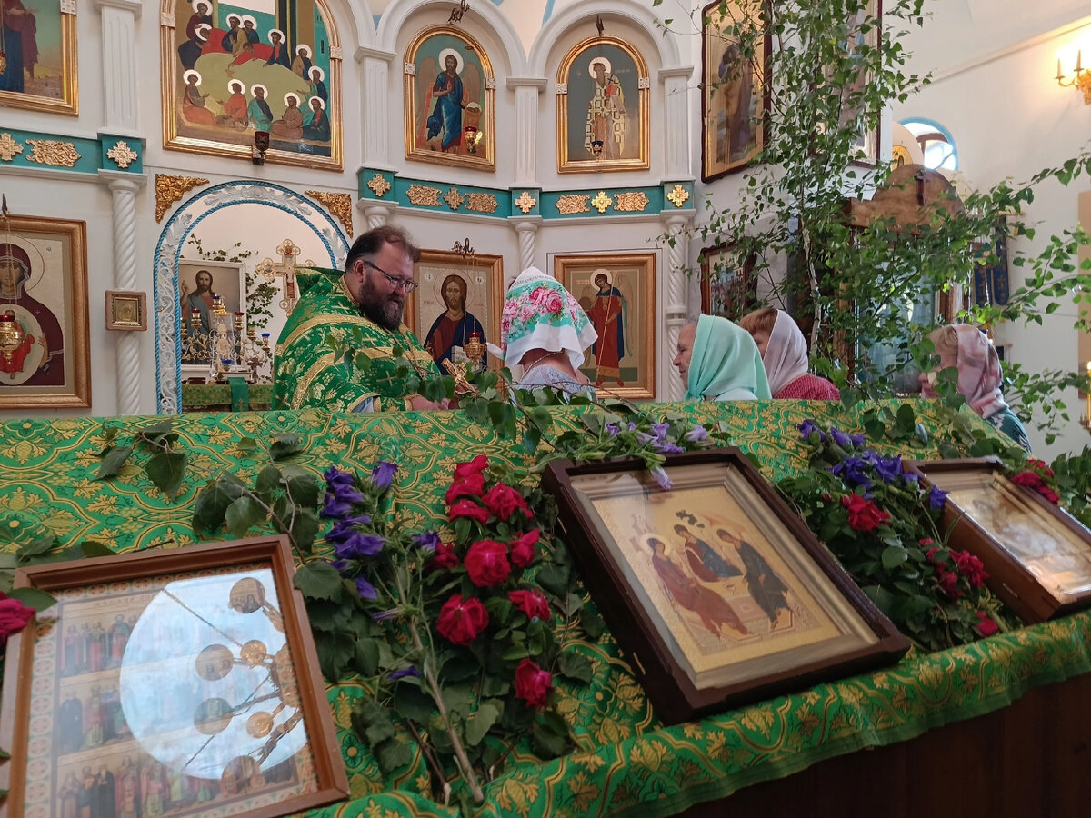  Алло, Гринпис? Наблюдаю геноцид растений! 