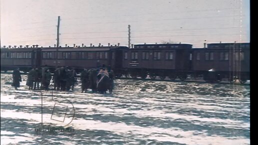 Хроники Первой мировой войны. 1914-1918 гг. Похороны солдата. Беженцы. Госпиталь