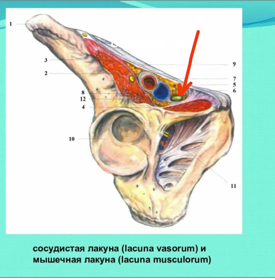 Можно ли самостоятельно высвободить зажатый нерв?