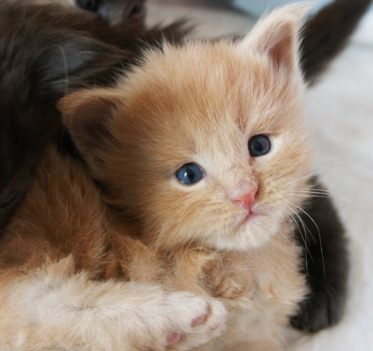 Фото из личного архива.