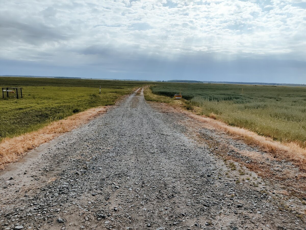 Дорога в поля. 