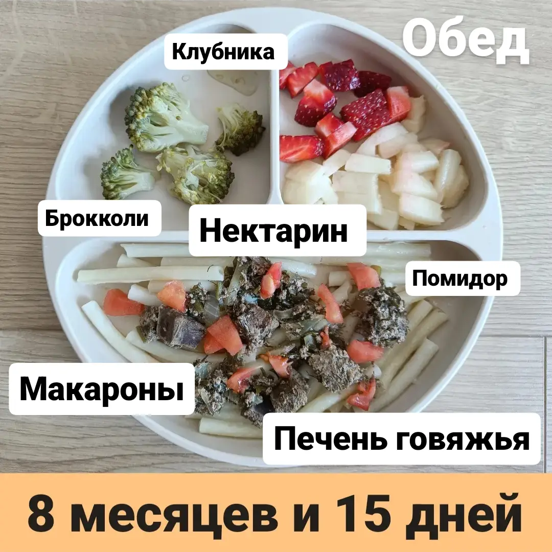 Пример тарелки в 8 месяцев 