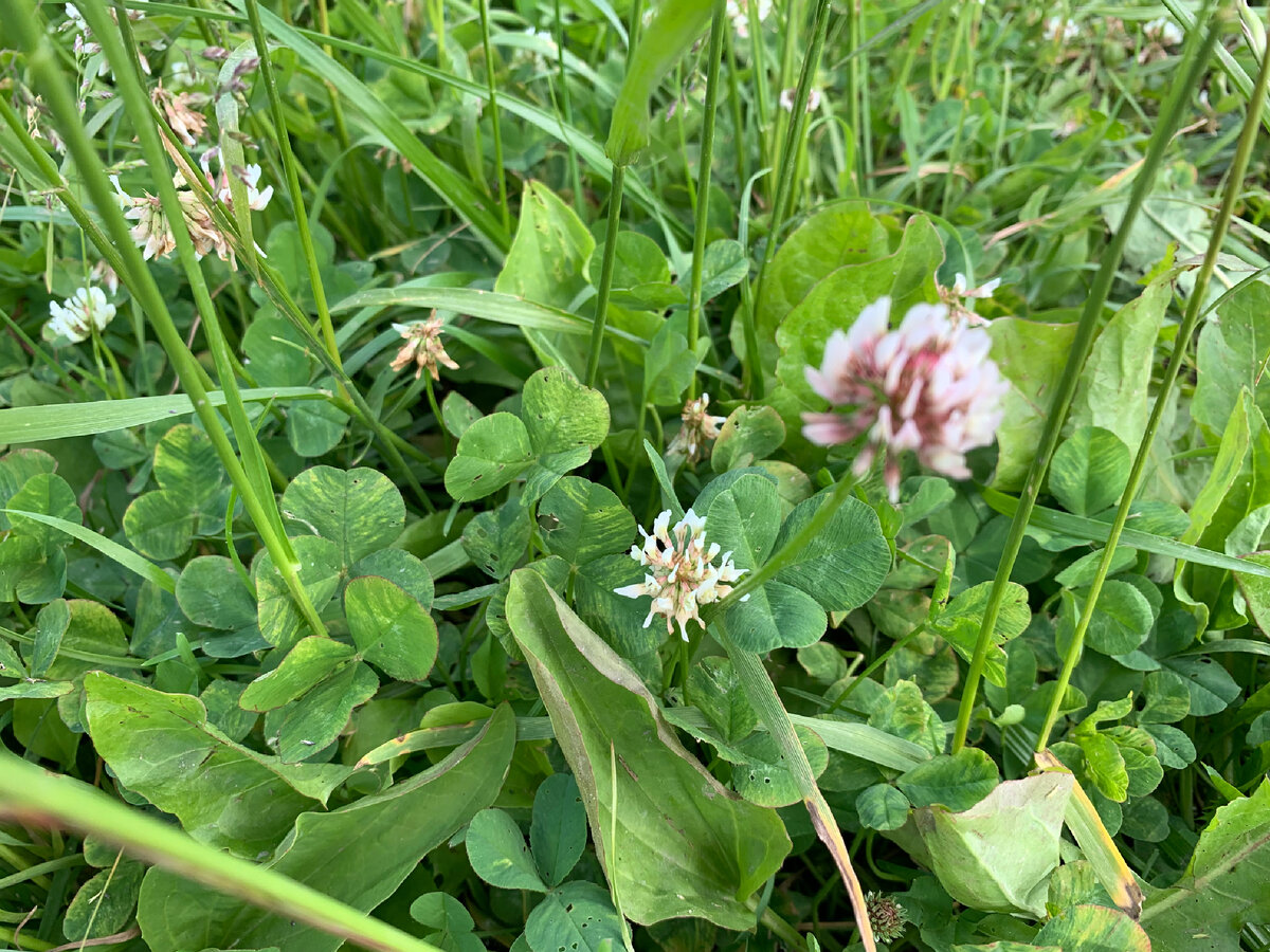 фото автора Катюша из Москвы 