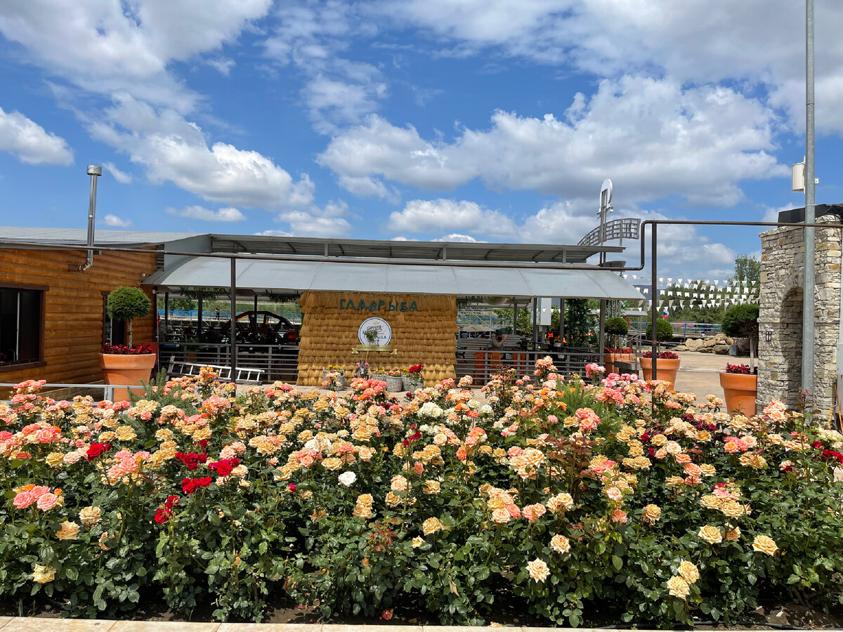 Фото из личного архива. Запах роз там потрясающий и их так много.