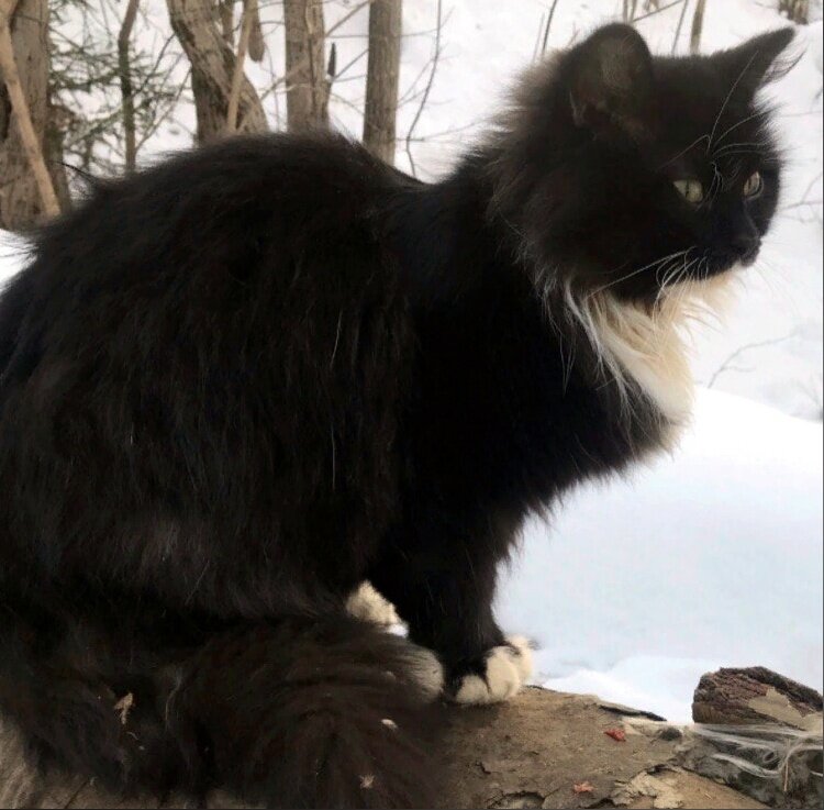 Таким Тимоша был год назад