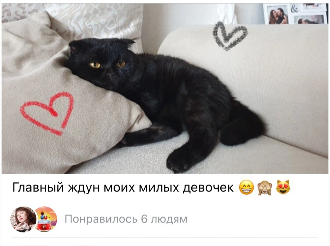 Фото автора. Вот таким Черчель был несколько лет назад.