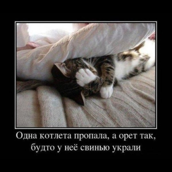 источник Яндекс-картинки