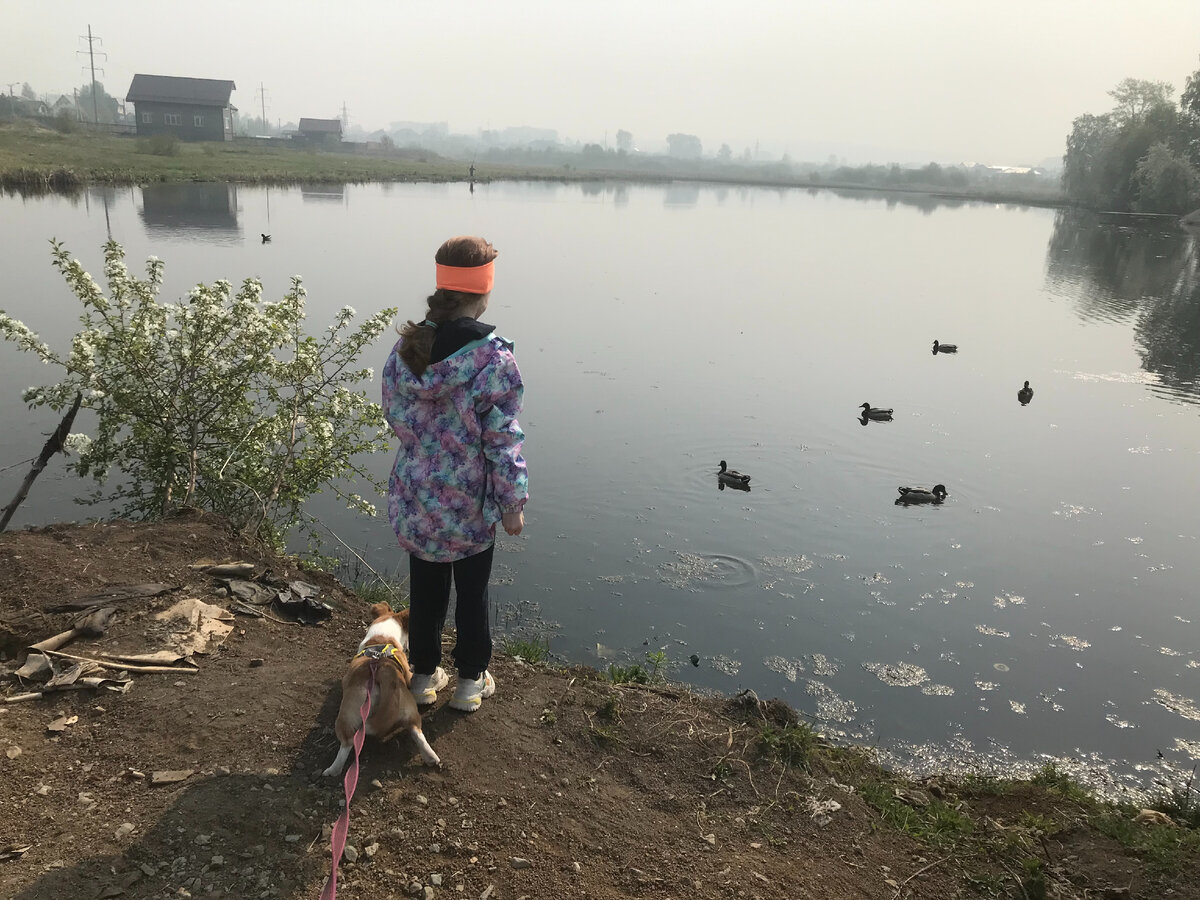 Михаэла обожает кормить уточек. Сзади рвется Тася, иногда кажется, что собака считает дочерей своими сестрами