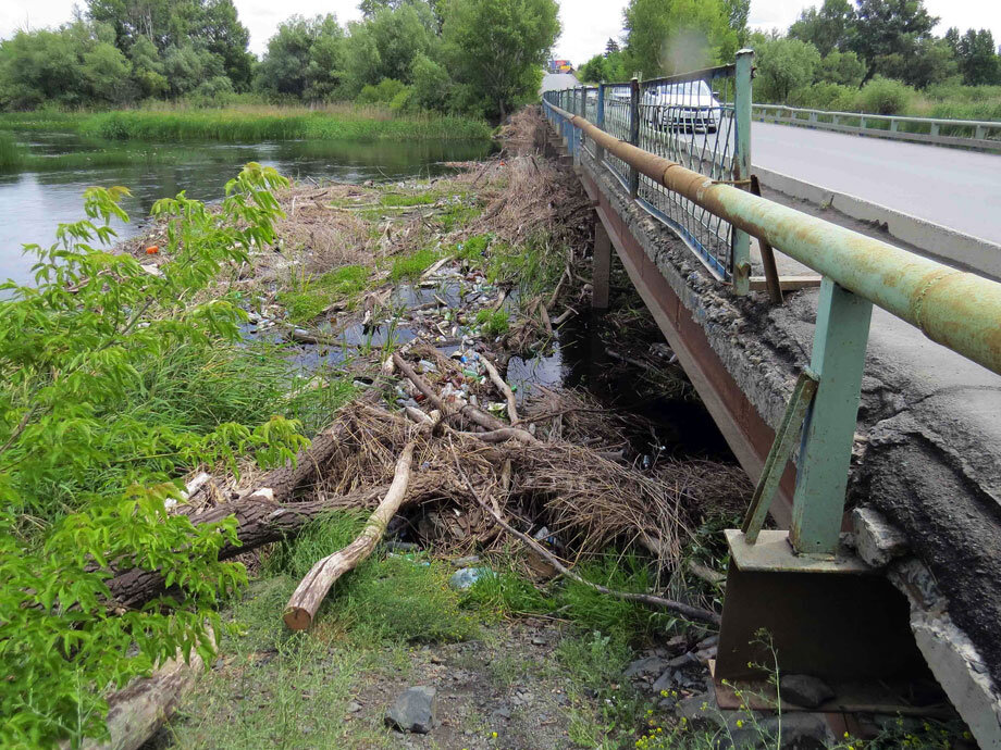 Фото Дмитрия Бикбова