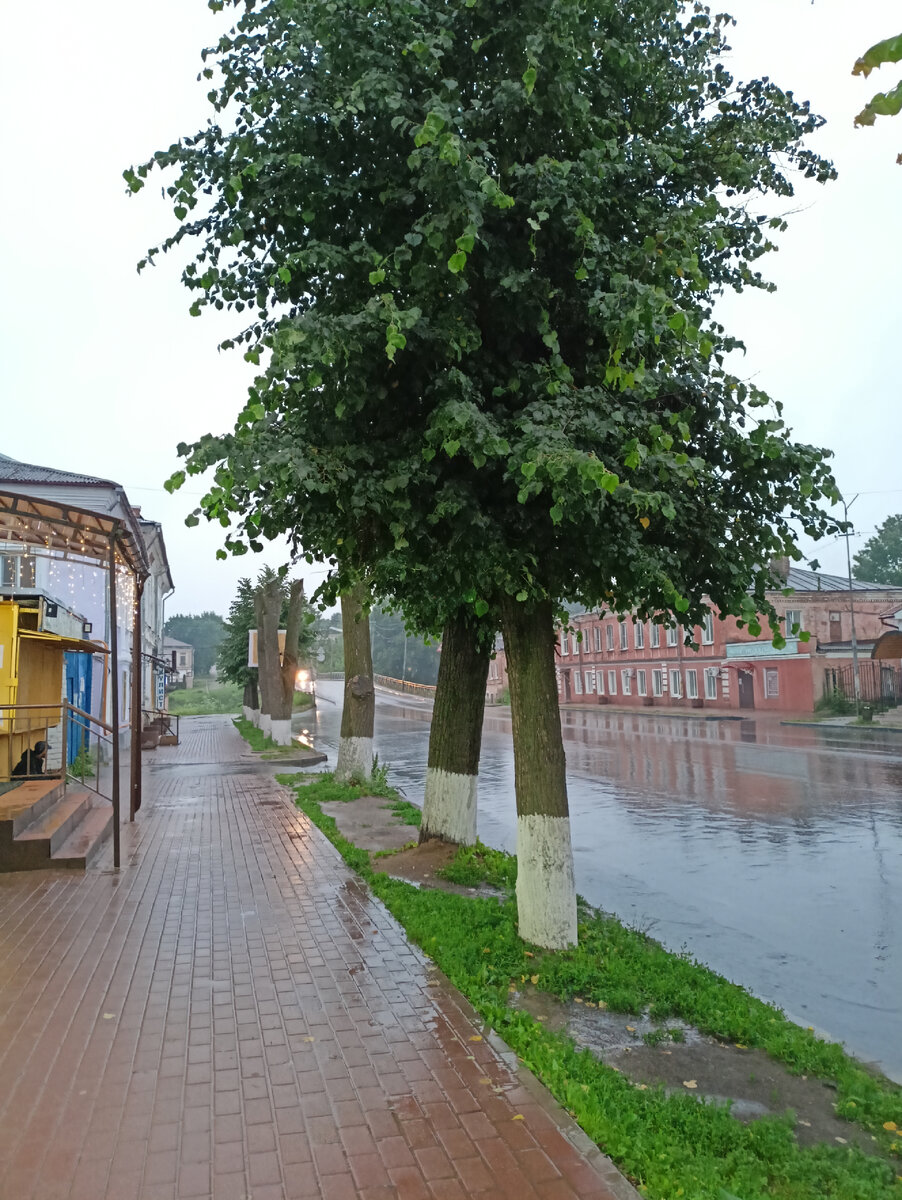 Фото сделано в Кашине, вчера 