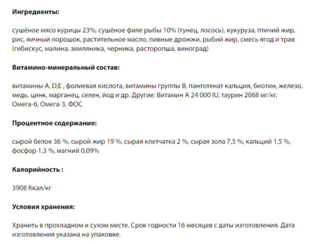 Gina Elite для котят