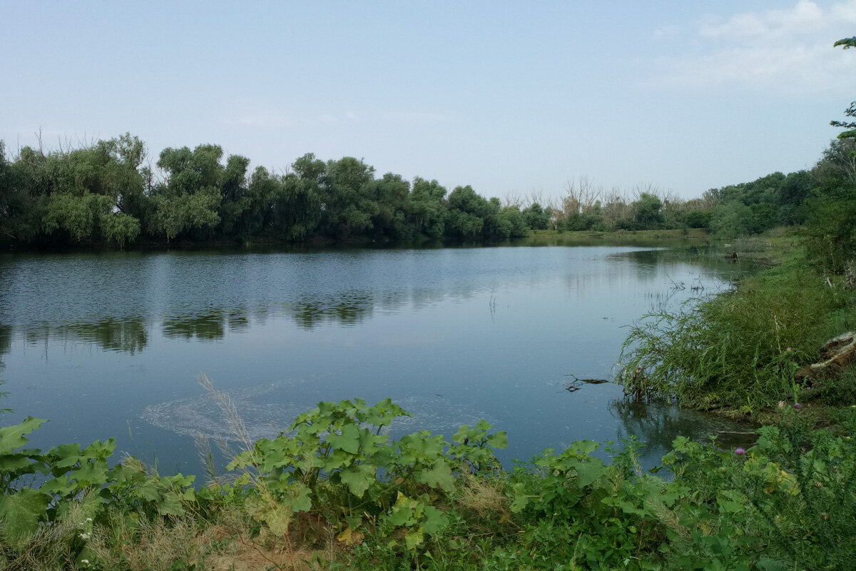 Яндекс картинки, фото с сайта novostipmr.com