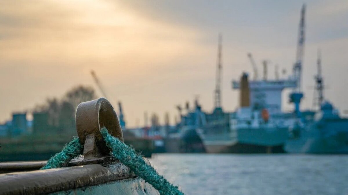    В Балаково построят самый крупный порт на Волге с 4 причаламиНовости Саратова и области – Сетевое издание «Репортер64»