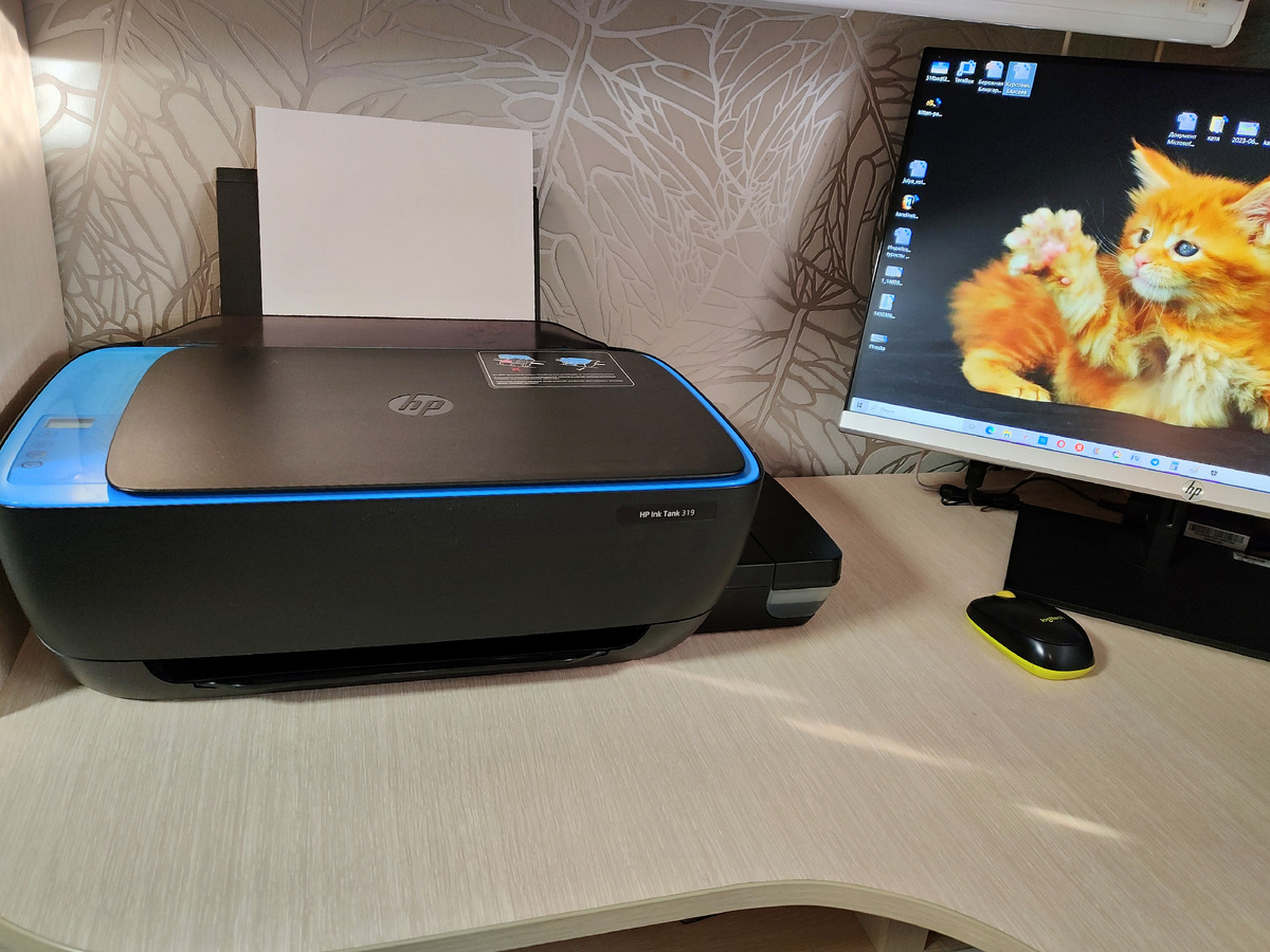 А вот и мой красавец! Живет со мной 5 лет!