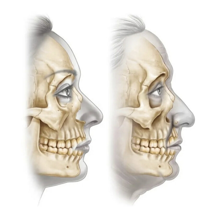 Фото из интернета