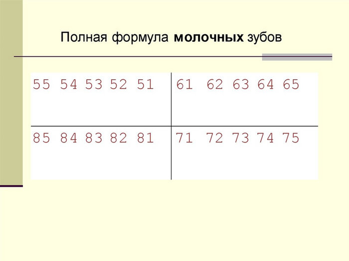 Зубная формула взрослого человека и у детей