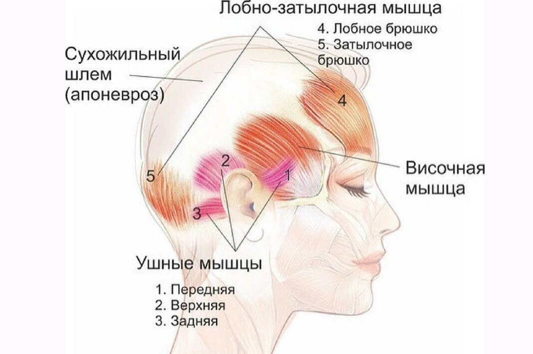 Нервный тик: виды, причины, диагностика и лечение