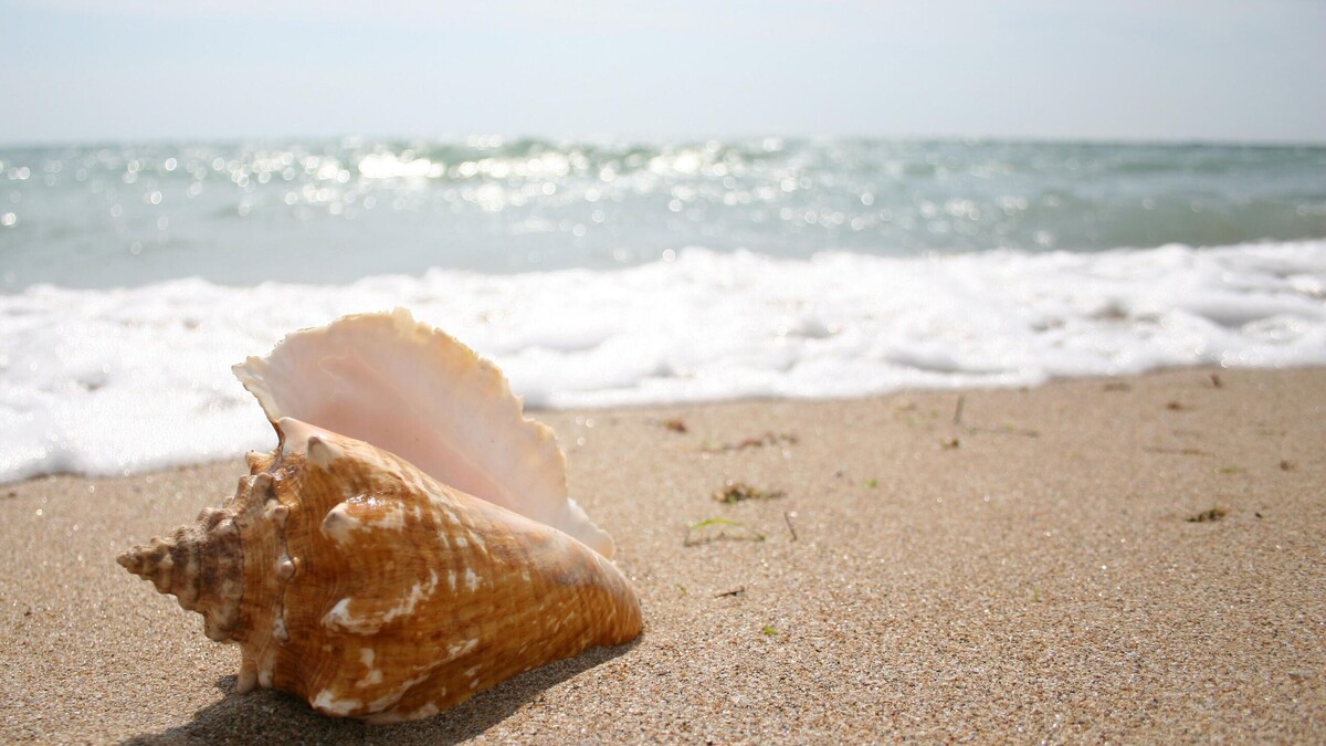    Морское побережье© Globallookpress Server Amzayev
