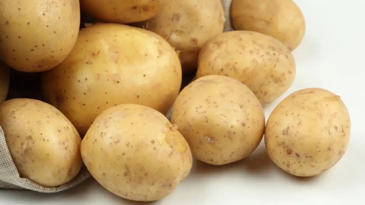 Фото:d-collection-shop.ru