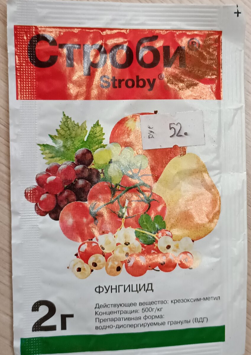 Третья обработка винограда, томатов и роз - препарат Строби. Фото автора 2023 г.