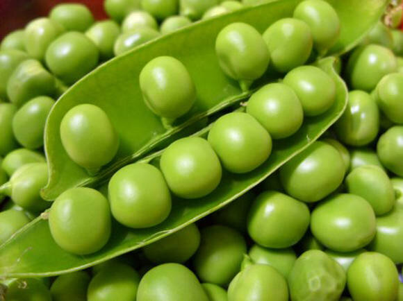 Выбор места посадки