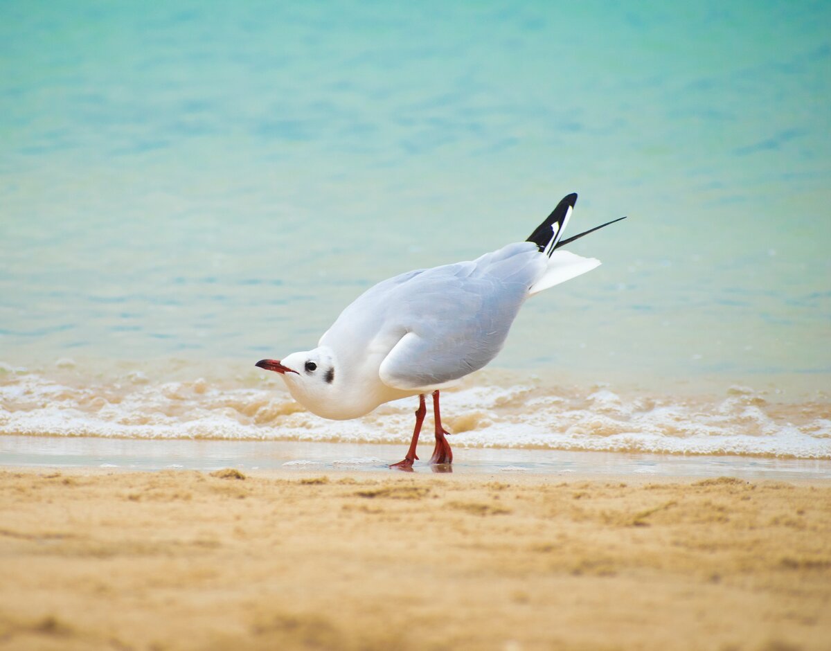 Фото с бесплатного фотоистока https://unsplash.com, автор aboodi vesakaran