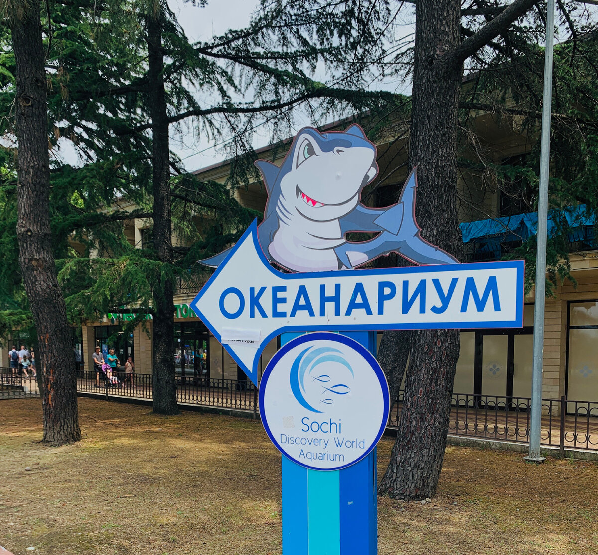 Указатели по пути, не заблудитесь