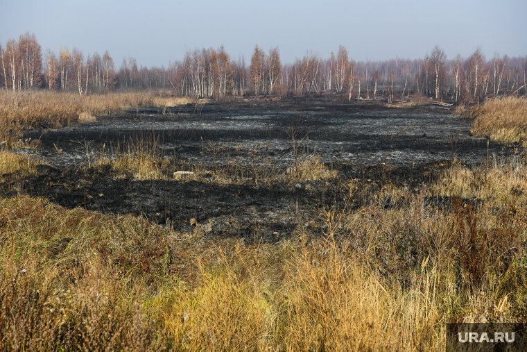    Торфяники в Аргаяшском районе горят с начала июня