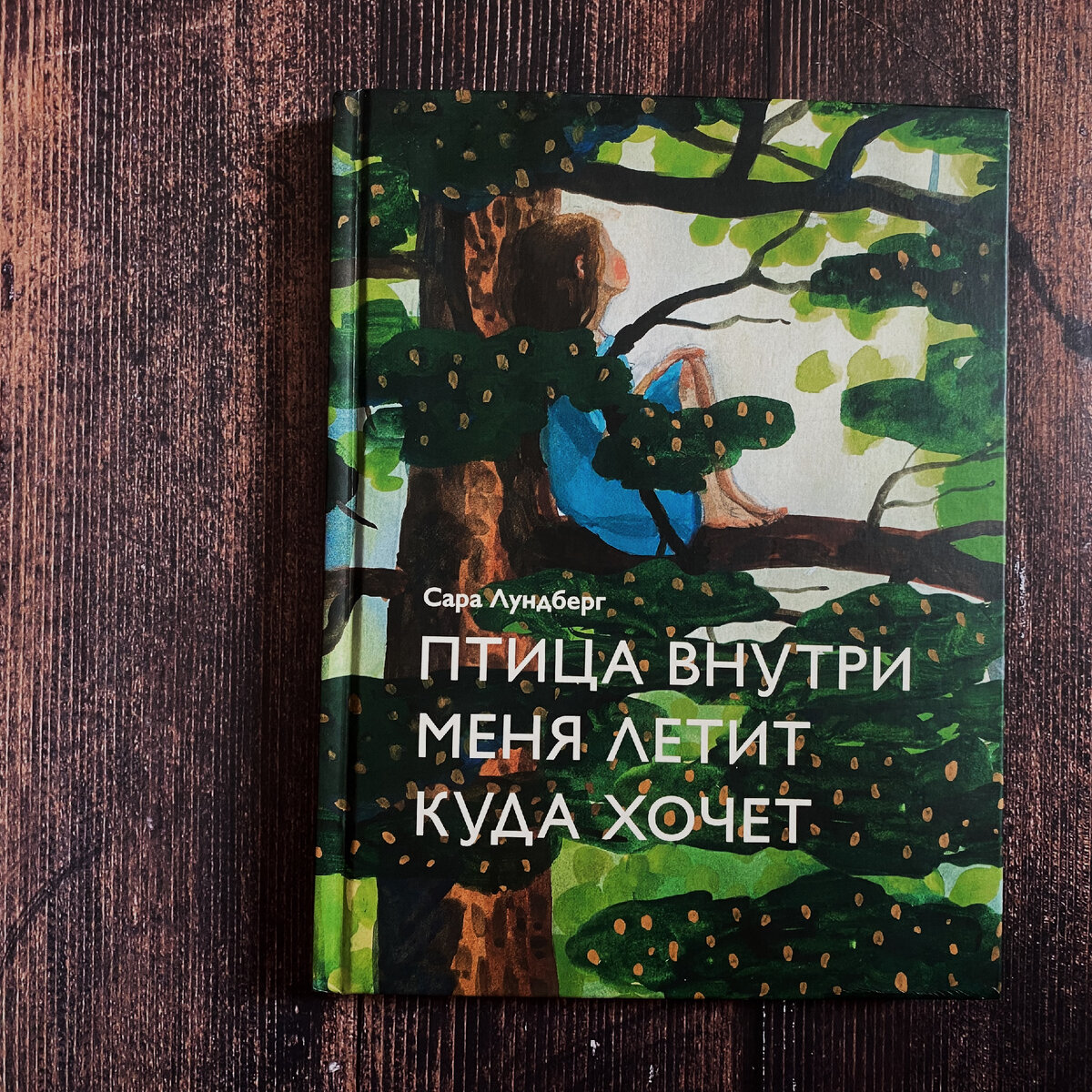 Здесь и далее фото автора.