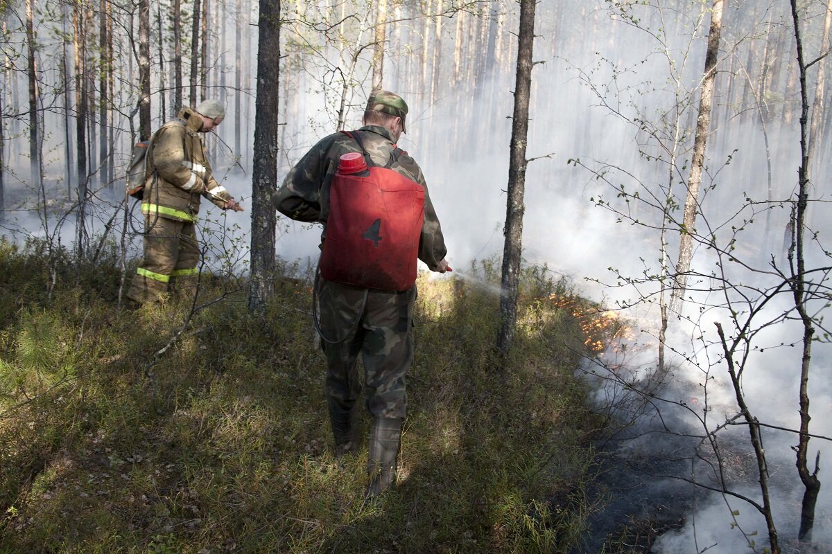    За сообщение о виновнике пожара в Югре будут выплачивать 20 тысяч рублей