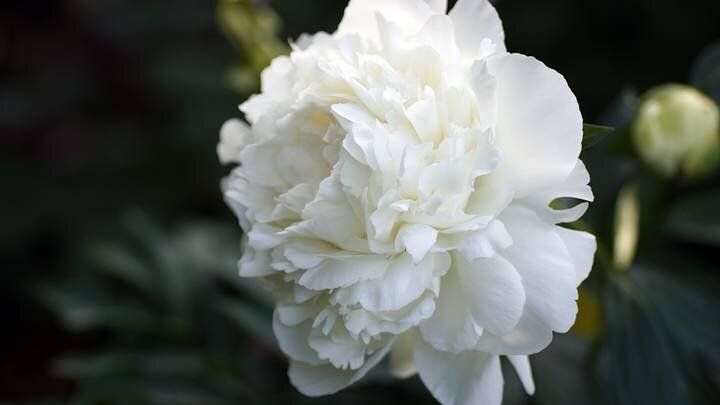  Фото: Shutterstock