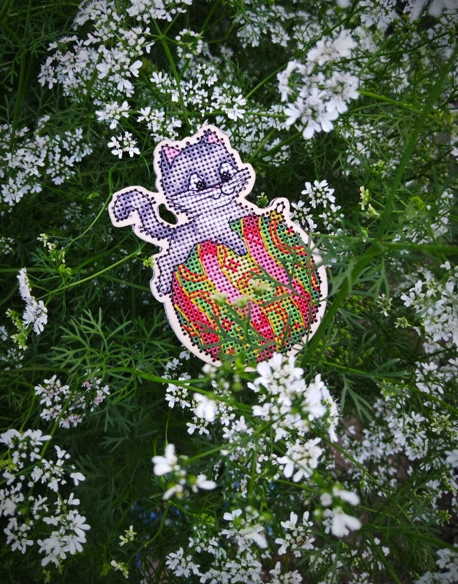 Котик на шаре сразу после отшива 