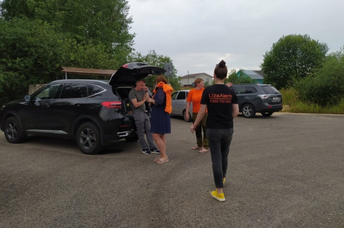    Во Владимирской области за полгода без вести пропали 953 человека